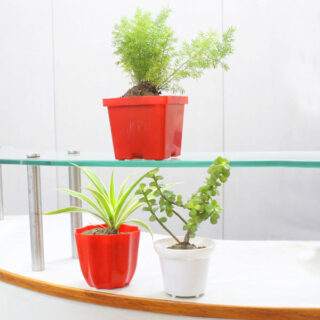 Set of 3 Air Purifiers 1