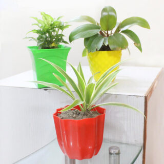 Amazing Air Purifier Trio 1
