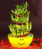 Good Luck Bamboo Plant in a Smiley bowl