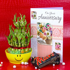 Good Luck Bamboo Plant & Mars Chocolate with Anniversary Card