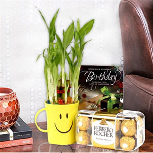 Good Luck Bamboo Plant, Birthday Greeting Card With Ferrero Rocher Box