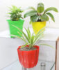 Amazing Air Purifier Trio
