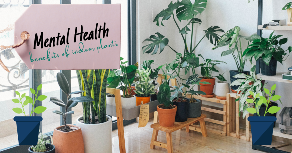 Mental health benefits of indoor plants