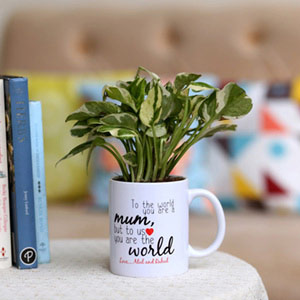 Pothos Plant In Personalised Mug For Mum