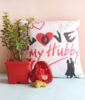 Jade Plant and Cushion Combo for Hubby