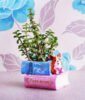 Jade Plant in Designed Dog Pot