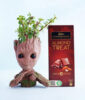 Jade Plant with Groot Pot and Temptation Almond Treat