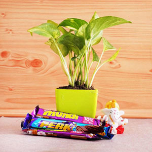 money-plant-with-ganesha-idol-and-chocolates- gift-hamper