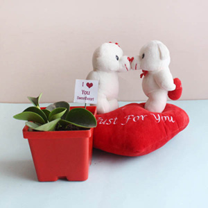 Plant and Soft Toy Valentine Combo