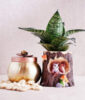 Snake Plant in Squirrel Pot with Dry Fruits