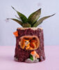 Snake Plant with Squirrel Pot