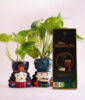 Two Money Plant with Designer Couple Pots and Bournville Chocolate