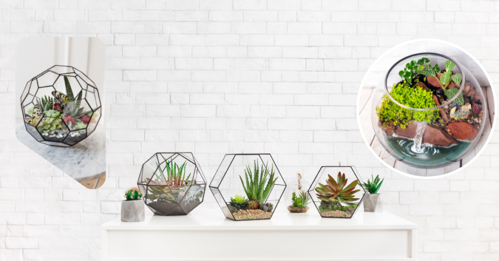 Types of Terrarium