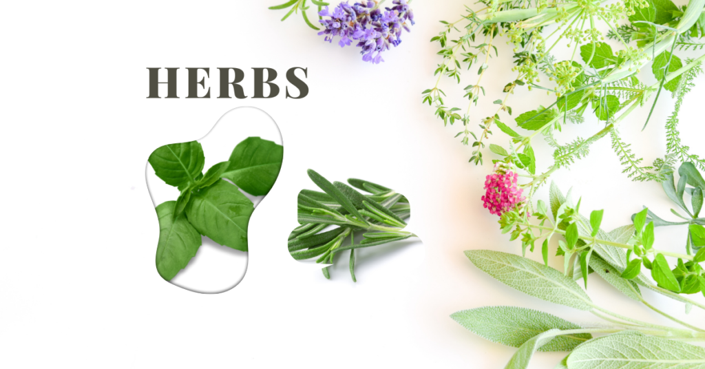 Houseplants - Herbs