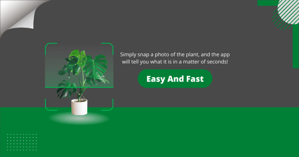 Plant Apps - snap a photo of the plant