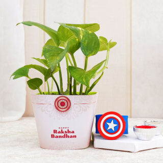 captain-america-kids-rakhi-with-money-plant_1