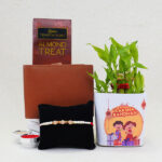 designer-rakhi-with-wallet-n-lucky-plant-combo_1
