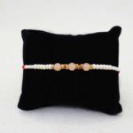 designer-rakhi-with-wallet-n-lucky-plant-combo_2