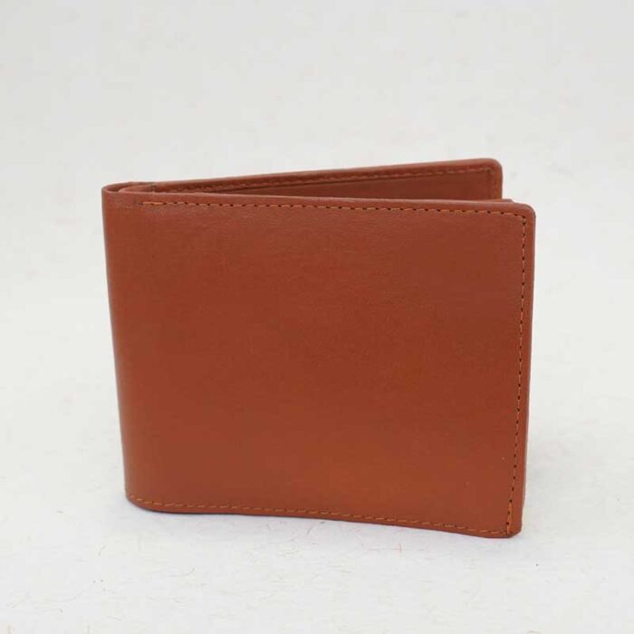 designer-rakhi-with-wallet-n-lucky-plant-combo_4
