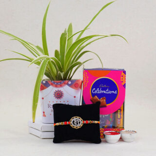 onkar-ad-rakhi-with-spider-plant-combo_1