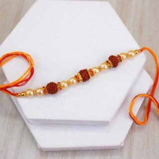 rudraksha-rakhi-with-jade-plant-n-chocolates_2