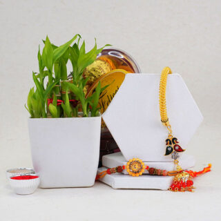 bhaiya-bhabhi-rakhi-with-2-layer-bamboo-plant-combo_1