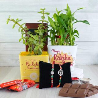combo-of-2-silver-rakhi-with-chocolate-n-plants_1