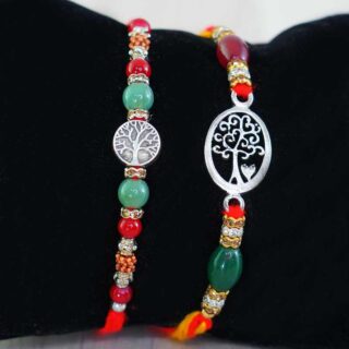 combo-of-2-silver-rakhi-with-chocolate-n-plants_2