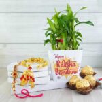 combo-of-bhaiya-bhabhi-rakhi-with-chocolate-n-lucky-plant_1