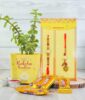 Combo of Bhaiya Bhabhi Rakhi with Jade Plant N Chocolate