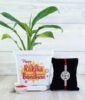 Combo of Designer Silver Rakhi with Peace Lily Plant