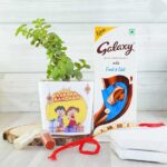 combo-of-pearl-rakhi-n-jade-plant-with-chocolate_1