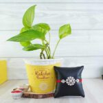 combo-of-silver-rakhi-with-money-plant_1