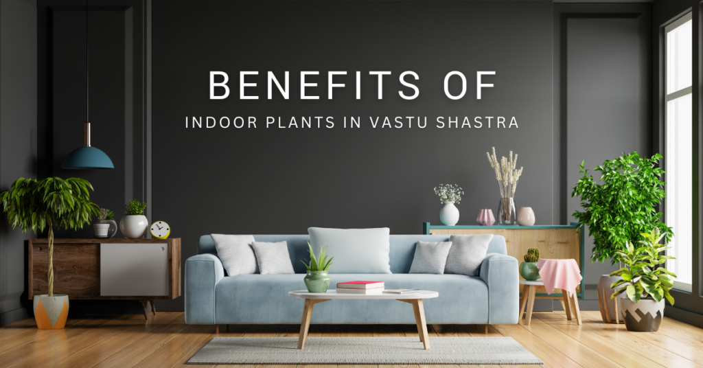 Benefits of Indoor Plants in Vastu Shastra