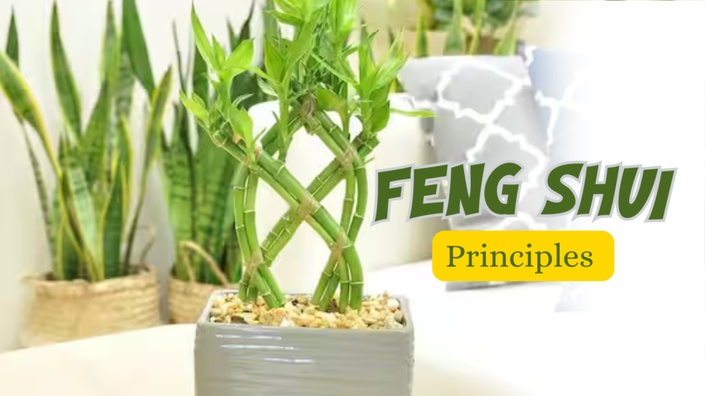 Principles Feng Shui